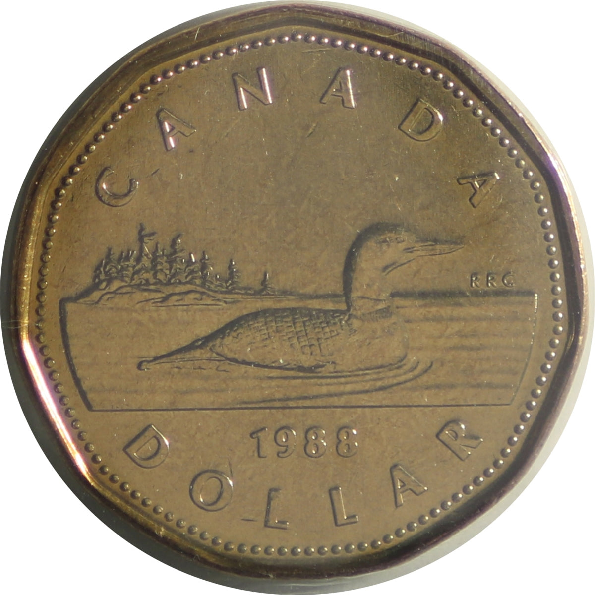 1988 Canada Loon Dollar ICCS Certified MS64