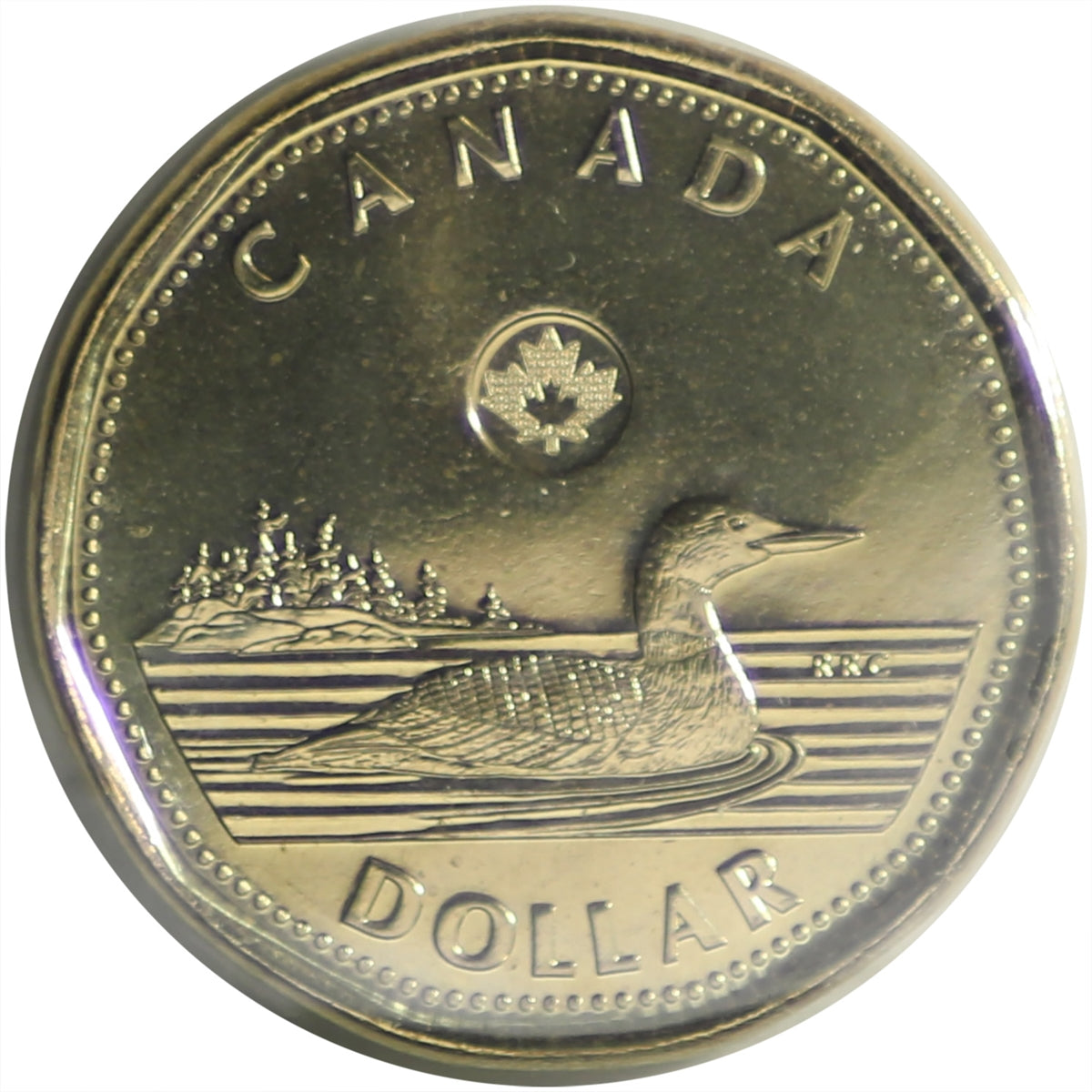 2019 Canada Loon Dollar ICCS Certified MS67