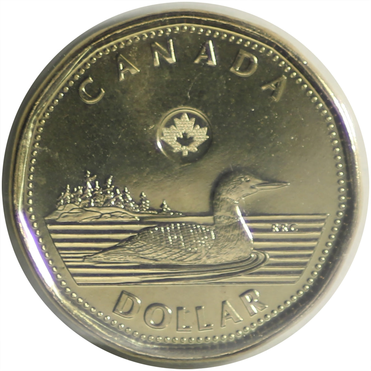 2019 Canada Loon Dollar ICCS Certified MS65