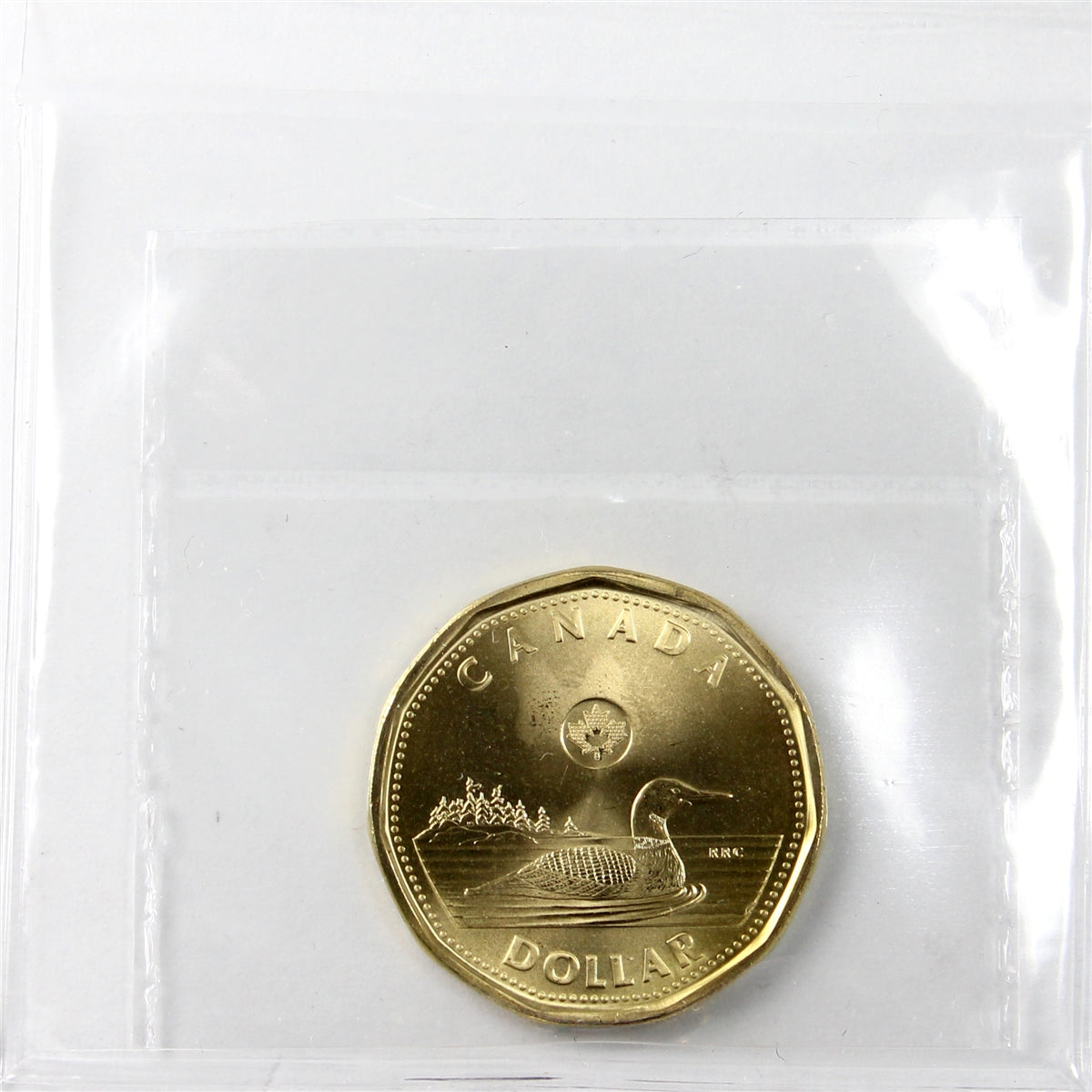2009 Canada Loon Dollar ICCS Certified MS64