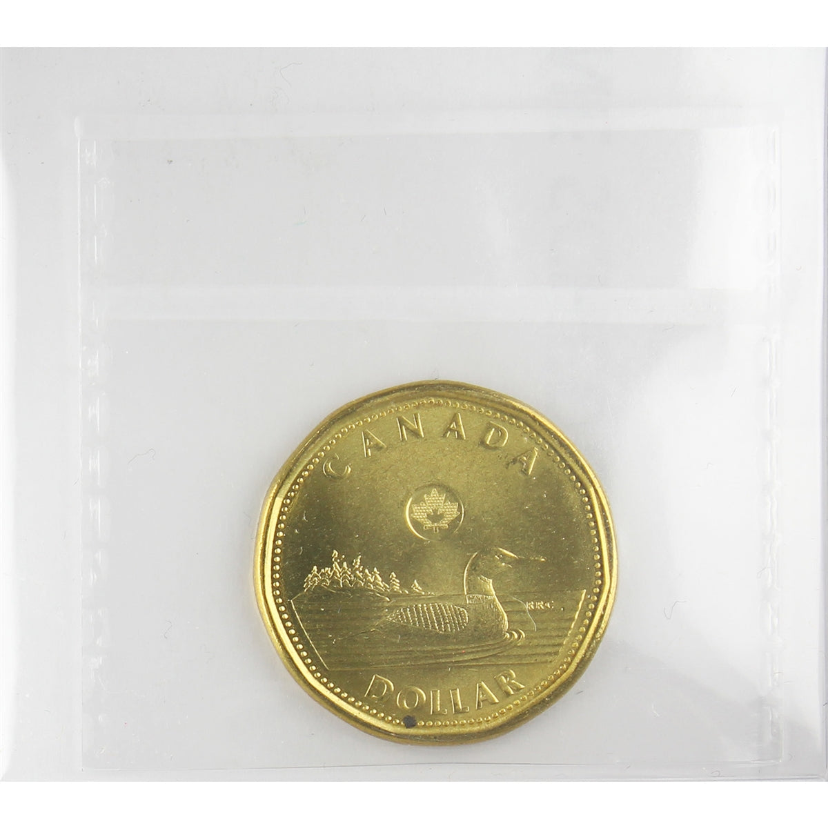 2016 Canada Loon Dollar ICCS Certified MS66