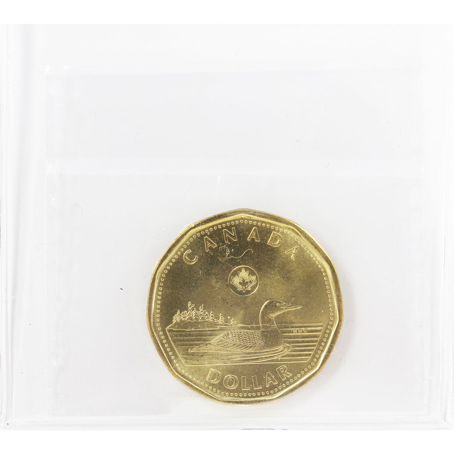 2020 Canada Loon Dollar ICCS Certified MS65