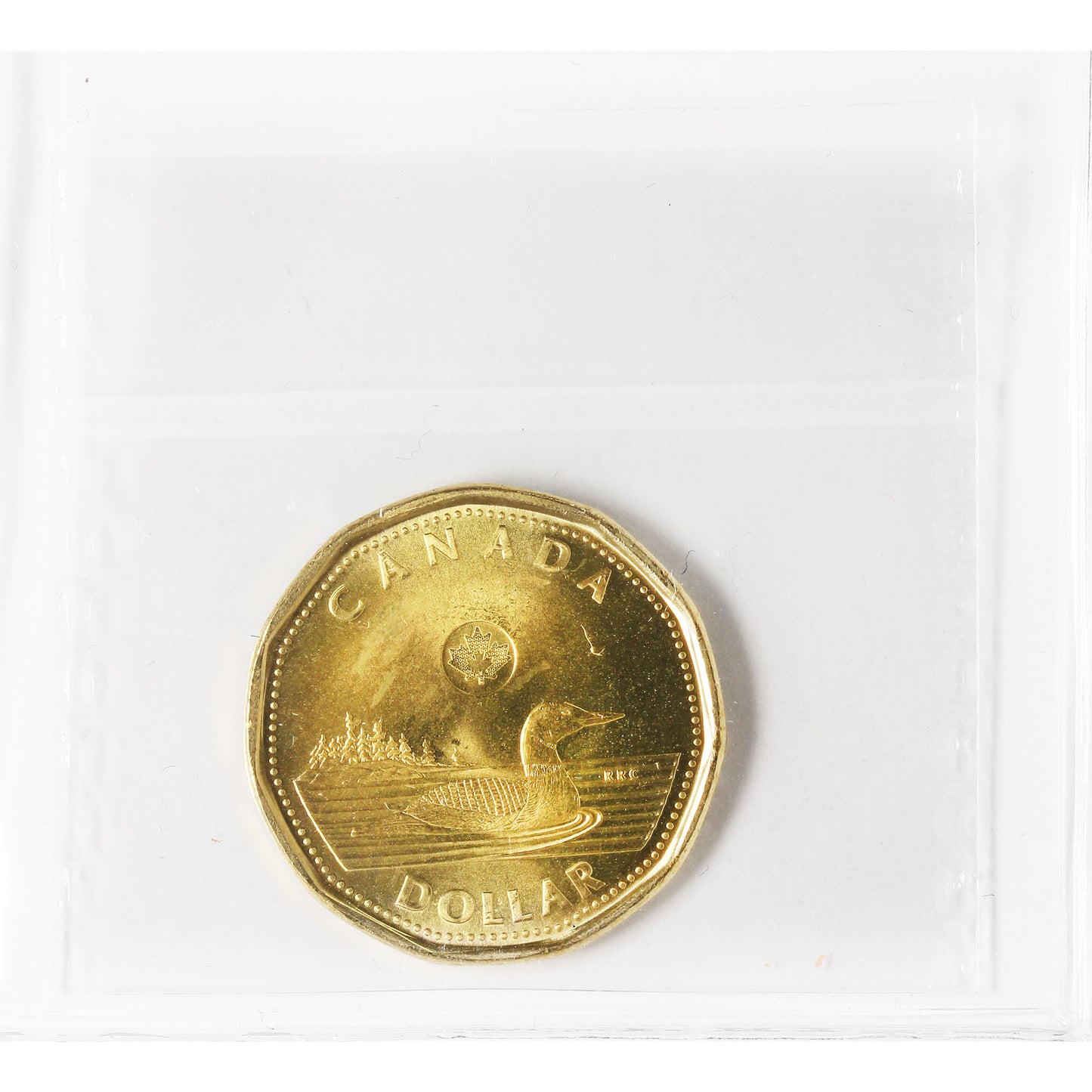 2023 KCIII Canada Loon Dollar ICCS Certified MS66