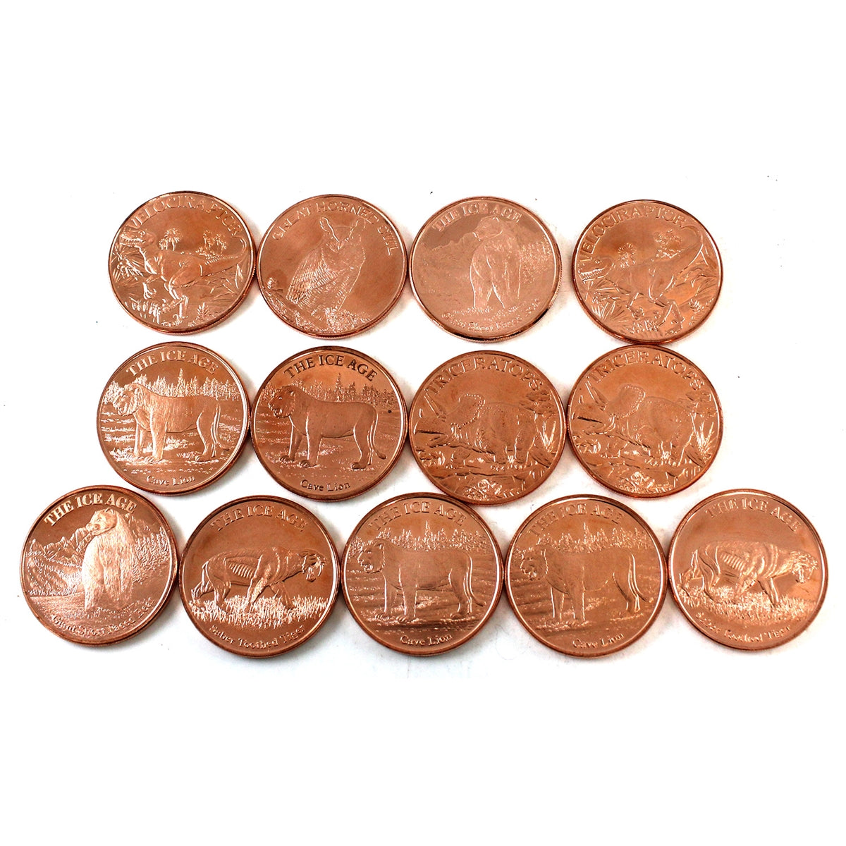 Lot of 13x 1oz Copper Rounds - Mostly Ice Age & Dinosaur Themes, 13Pcs ...