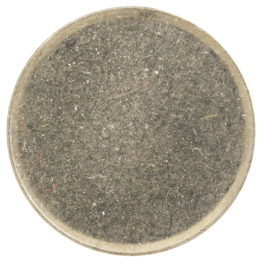 Blank Planchet Canada 10-cents Uncirculated (MS60)