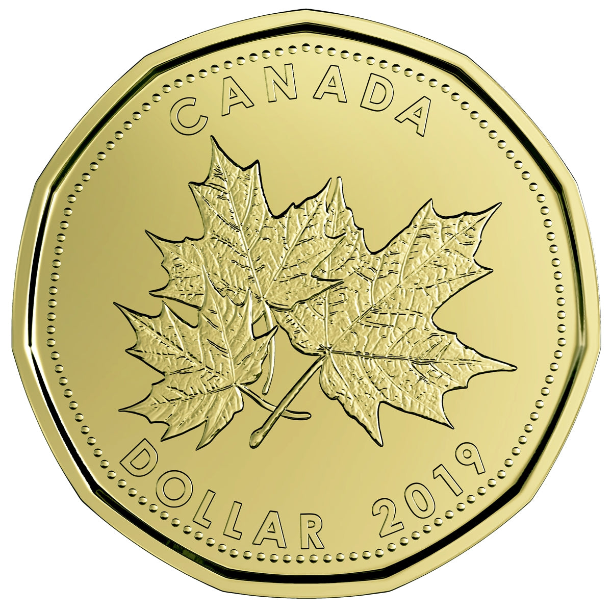 2019 O Canada Gift Set with Maple Leaf Loon