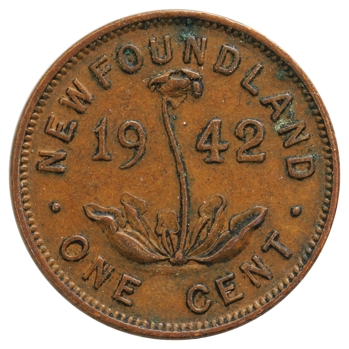 1942 Newfoundland 1-cent VF-EF (VF30) Cleaned, scratched or impaired