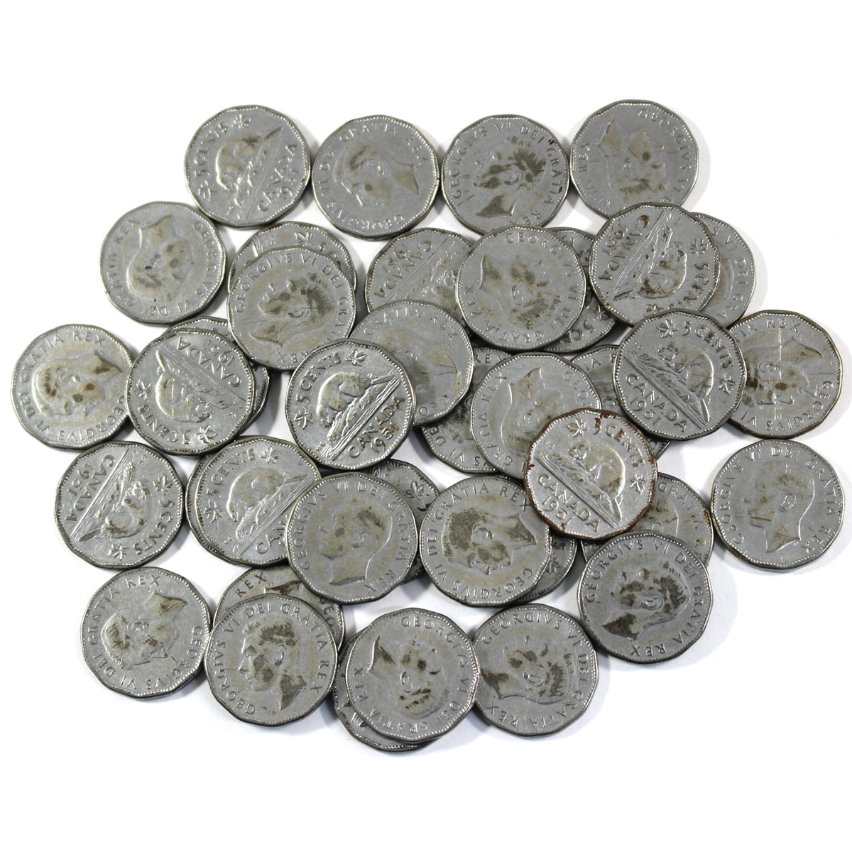 Lot of 40x 1951 Canada Steel Beaver 5-cents in Average Condition, 40Pcs