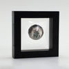 2024 Barbados $5 55th Anniversary Moon Landing 1oz. Fine Silver Coin (No Tax)