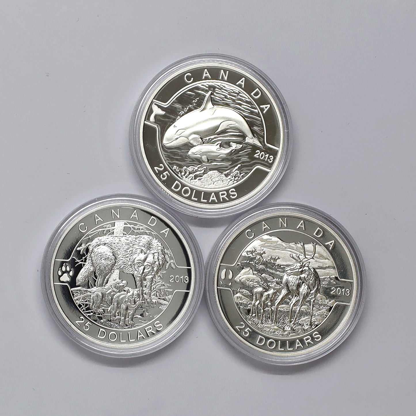 Lot of 3x 2013 $25 O Canada Fine Silver Coins (No Tax) Coins Only, Scratched Capsules