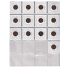 Group Lot of 13x 1874-1909 USA Pennies, 13pcs