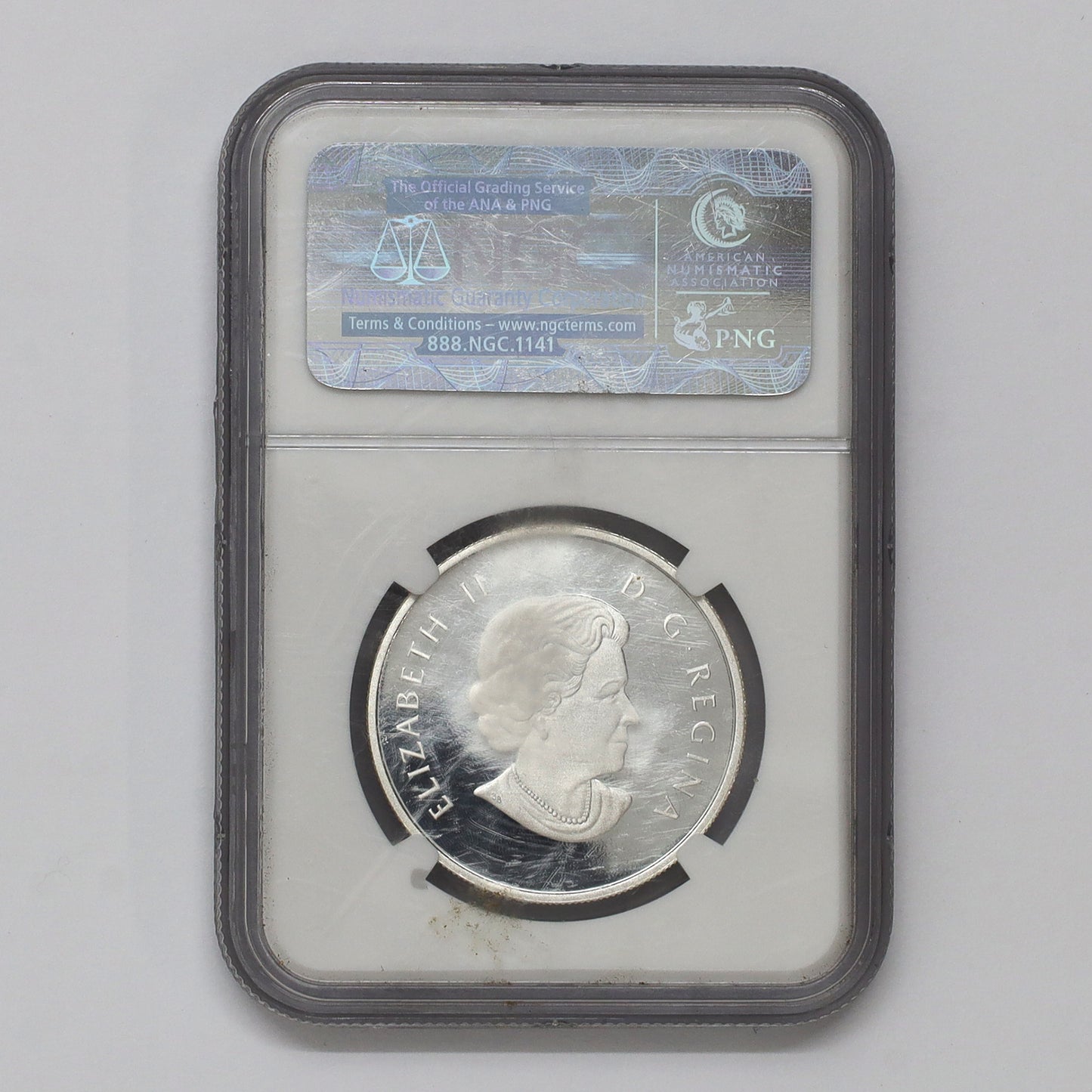 2013 Canada $10 Dragonfly - Twelve Spotted Skimmer NGC Cert. PF69 UHC (No Tax) Scuffed