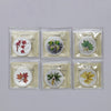 Lot of 6x Canada $5 Coloured Maple Leaf Fine Silver ICCS Crt. MS66 to SP67, 6pcs (No Tax)