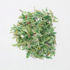 Tube of Shredded Canadian Money!