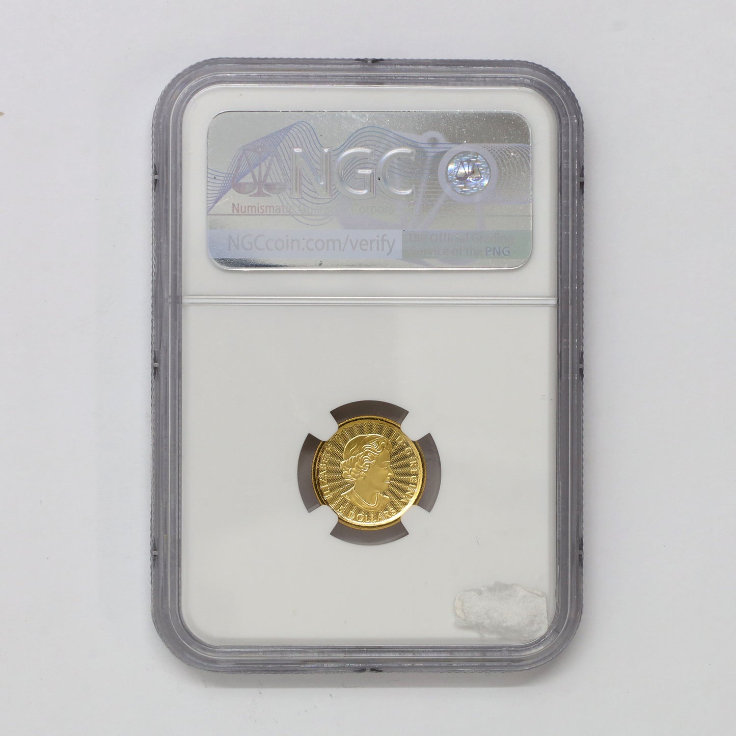 2022 Canada $5 1/10oz. Majestic Polar Bear .999 Gold NGC Certified MS70 (No Tax)