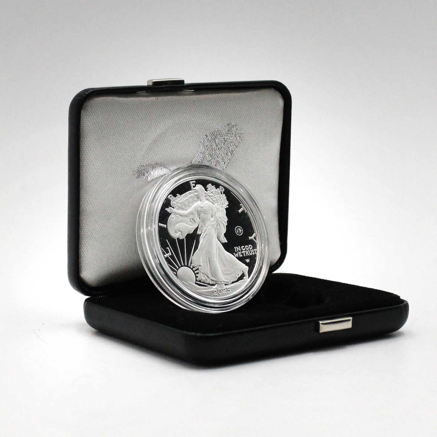 2025 USA $1 .999 Silver Eagle in Original Case (No Tax) light wear