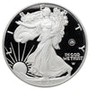 2025 USA $1 .999 Silver Eagle in Original Case (No Tax) light wear