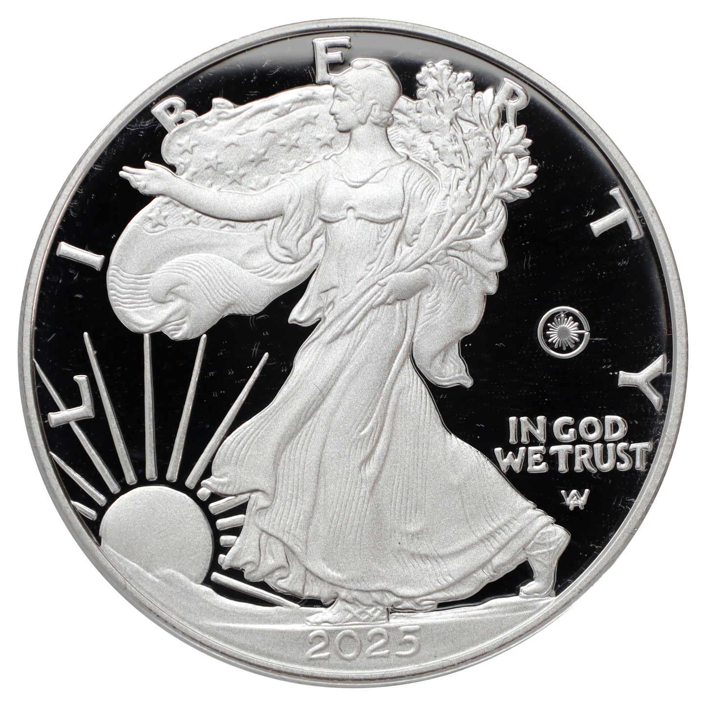 2025 USA $1 .999 Silver Eagle in Original Case (No Tax) light wear