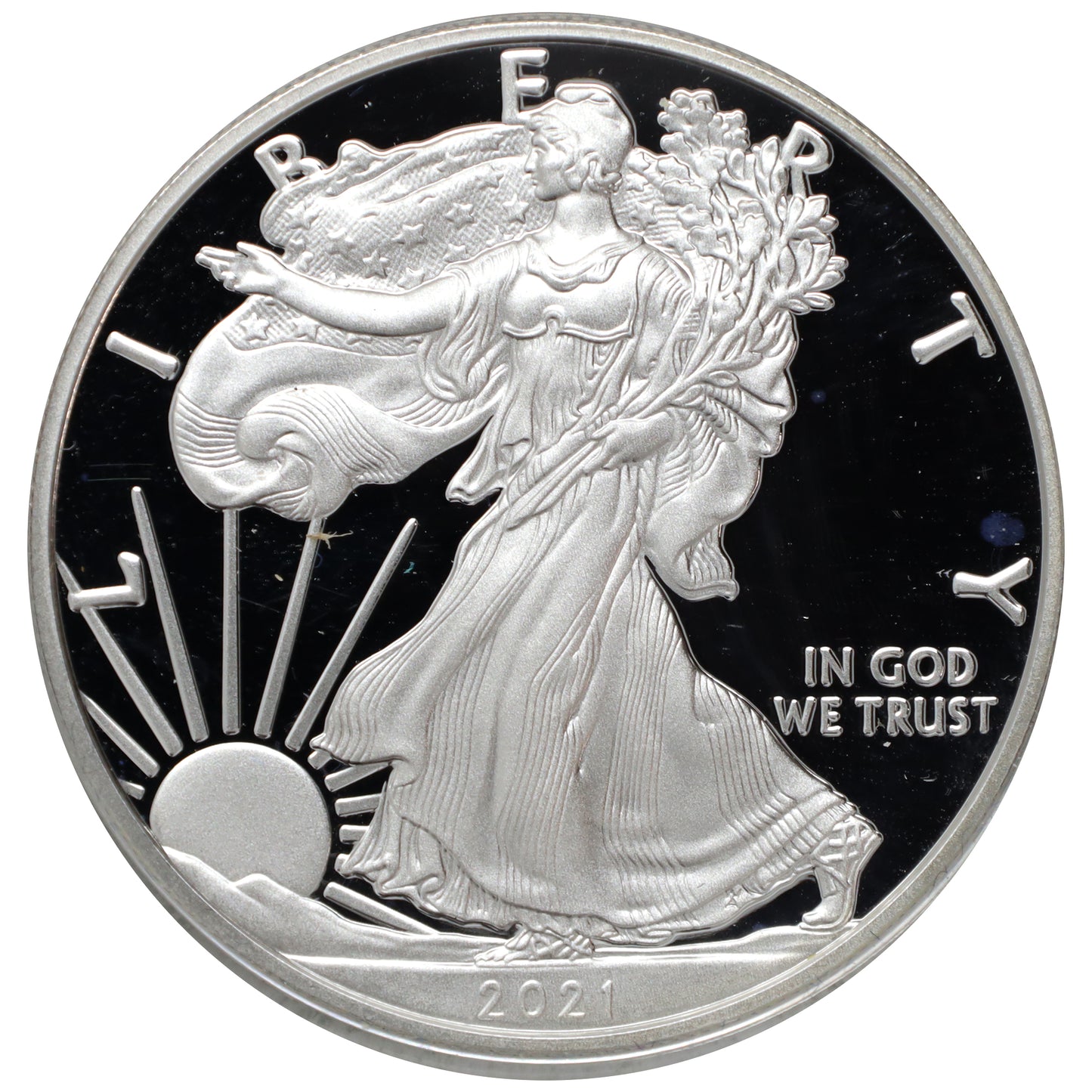 2021 USA $1 .999 Silver Eagle in Original Case (No Tax) light wear