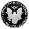 2021 USA $1 .999 Silver Eagle in Original Case (No Tax) light wear
