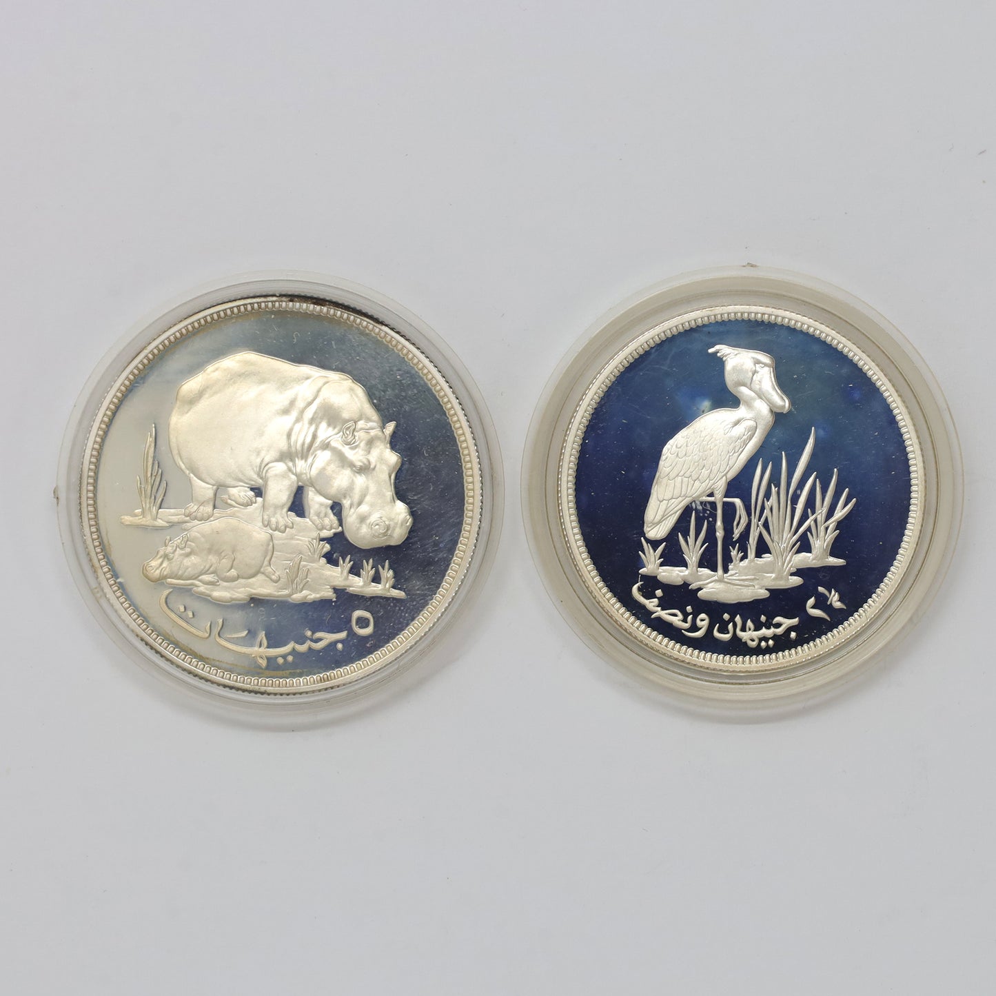 Sudan 1976 WWF IUCN Conservation Sterling Silver Proof Coins in Case (light wear)