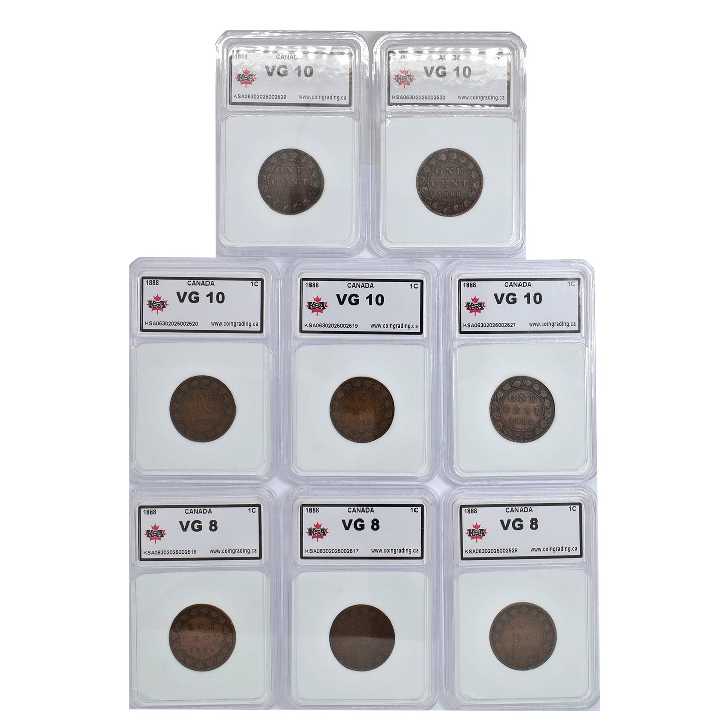 Lot of 8x 1888 Canada 1-cents in KSA Slabs VG8 to VG10, 8pcs
