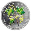 2003 Summer Commemorative Canada $5 1oz Silver Maple Leaf (No Tax) coin only, scr.cap
