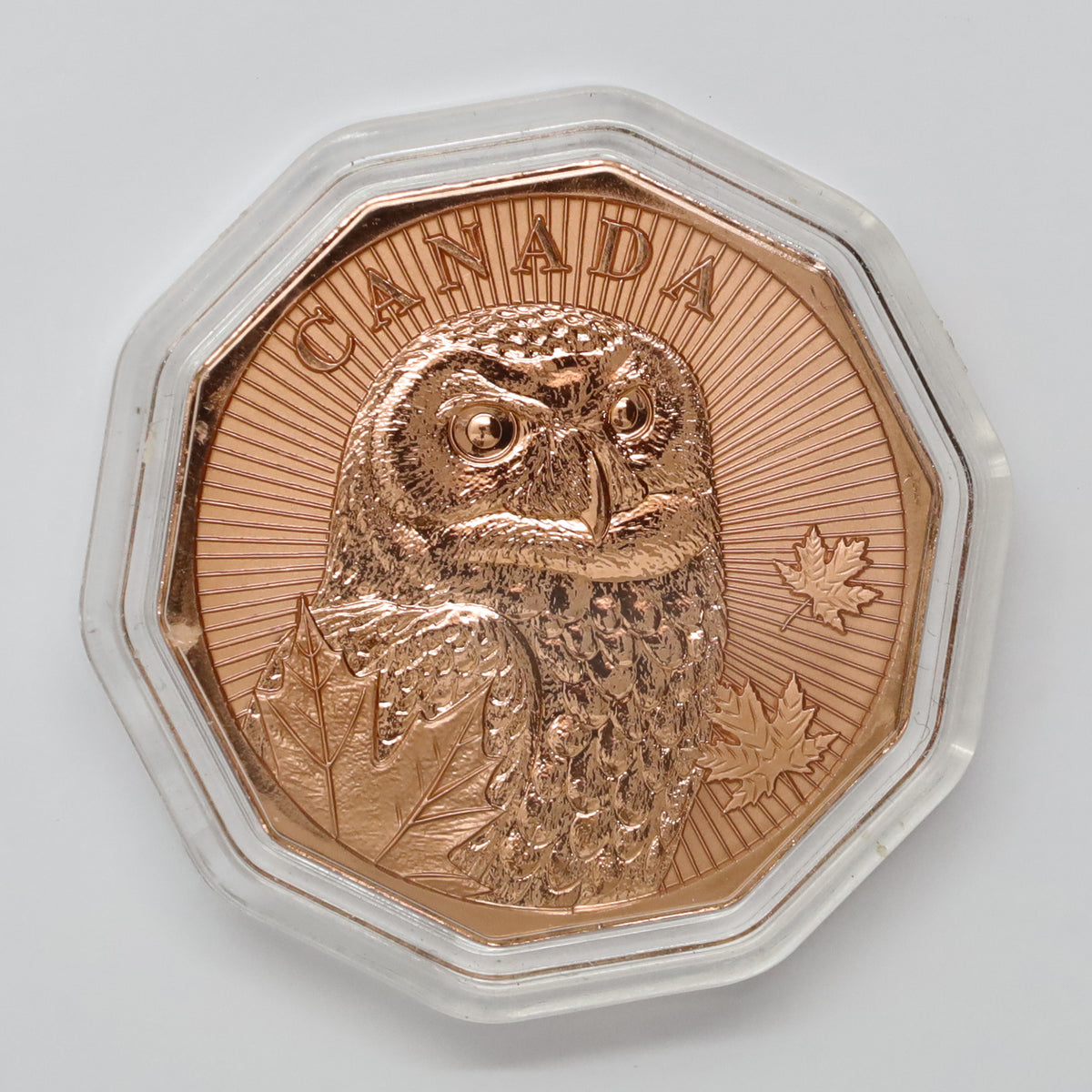 Maple Leaf Mint Guardians of the North Snowy Owl 1oz. .999 Fine Copper (scr.cap)