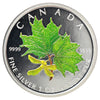 2002 Canada $5 Green Coloured 1oz. Silver Maple Leaf (No Tax) coin only, scratched caps.