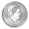 (LPO) 2021 $50 Magnificent Maple 10oz Silver Coin (TAX exempt) Scuffs on Cap. - NO Credit Card, Paypal.