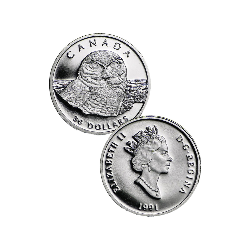 (LPO) 1991 Canada $30 Snowy Owl 1/10oz Platinum (Tax Exempt) Hairline Scr - NO Credit Card/Paypal