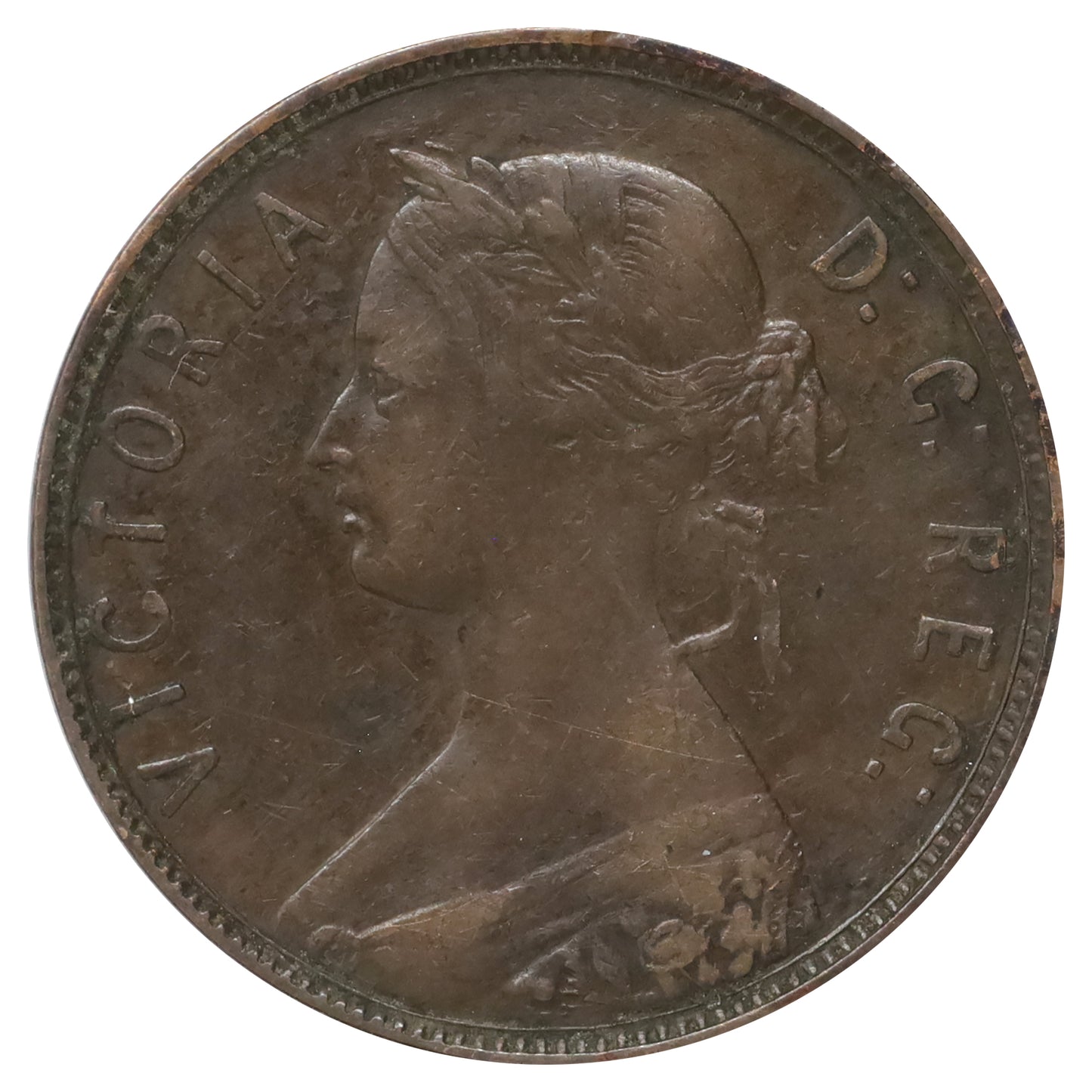 1873 Newfoundland 1-cent Very Fine (VF20)