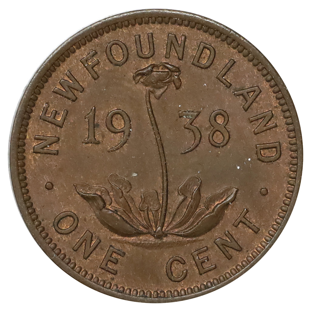 1938 Newfoundland 1-cent Almost Uncirculated (AU50)