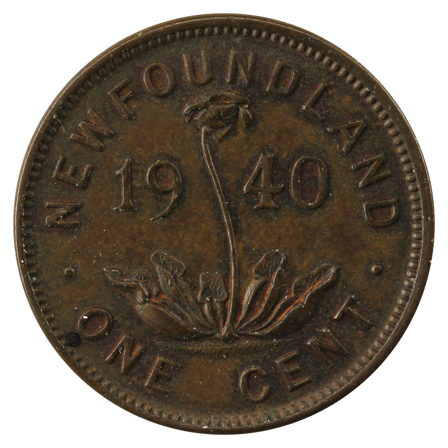 1940 Newfoundland 1-cent Almost Uncirculated (AU50)