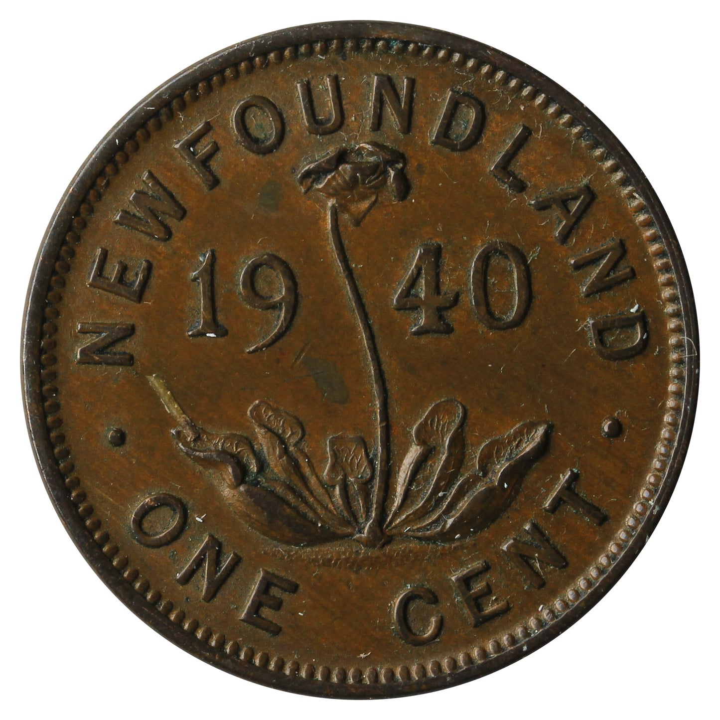 1940 Newfoundland 1-cent EF-AU (EF45)