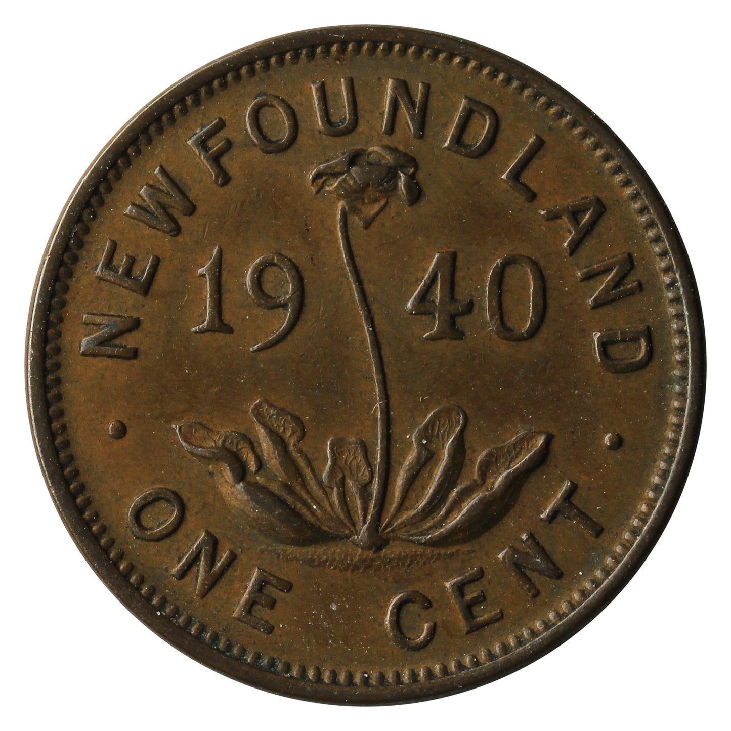 1940 Newfoundland 1-cent Extra Fine (EF40)