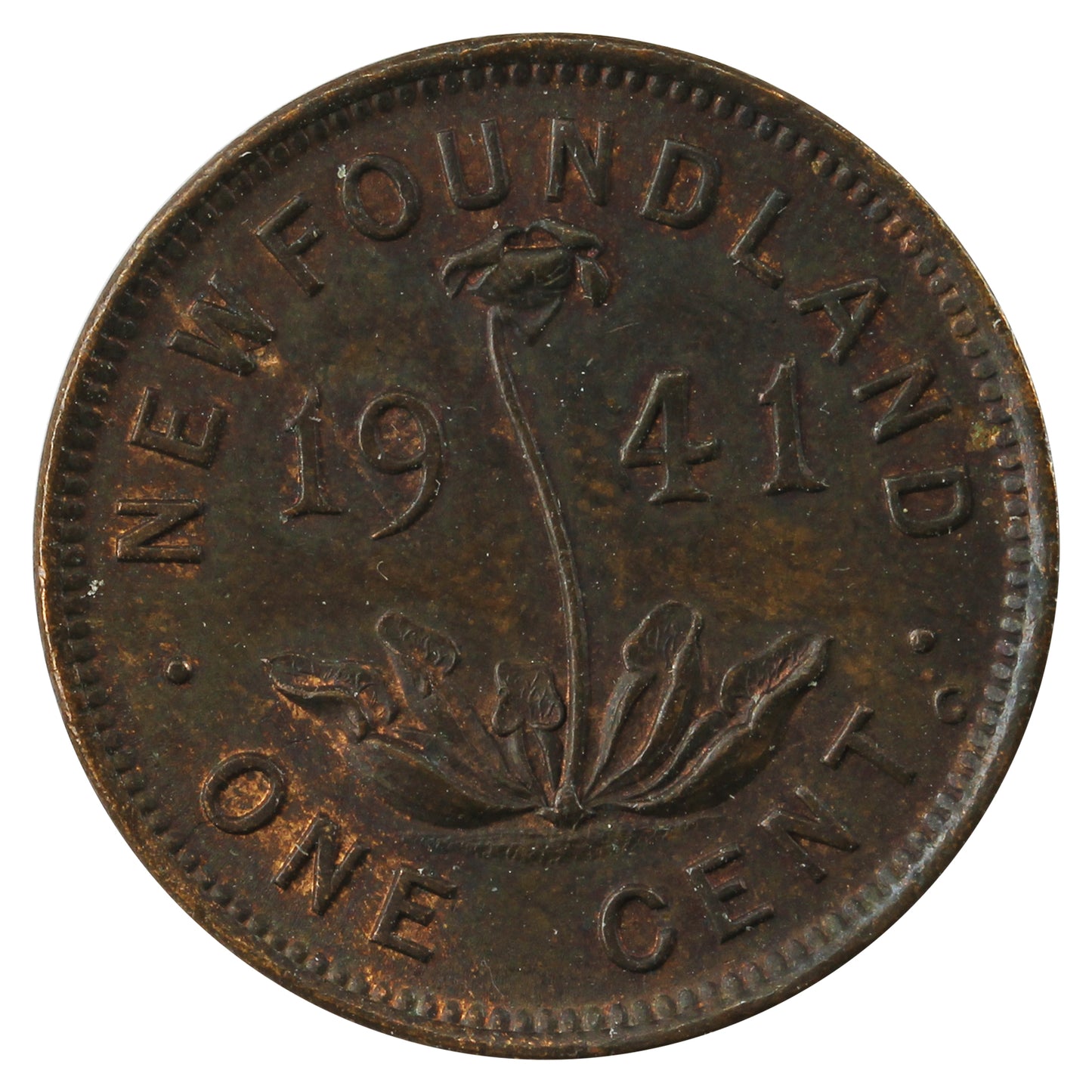 1941C Newfoundland 1-cent AU-UNC (AU55)