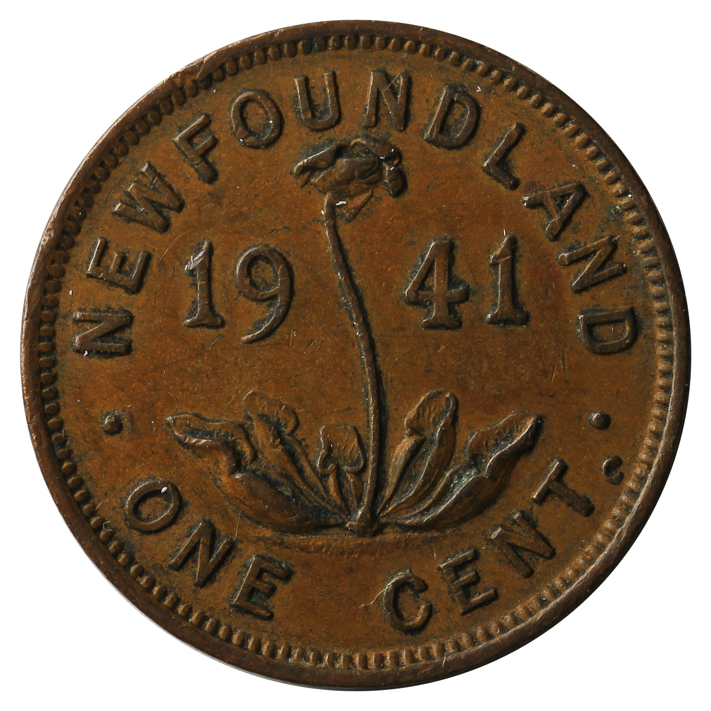 1941C Newfoundland 1-cent Extra Fine (EF-40)