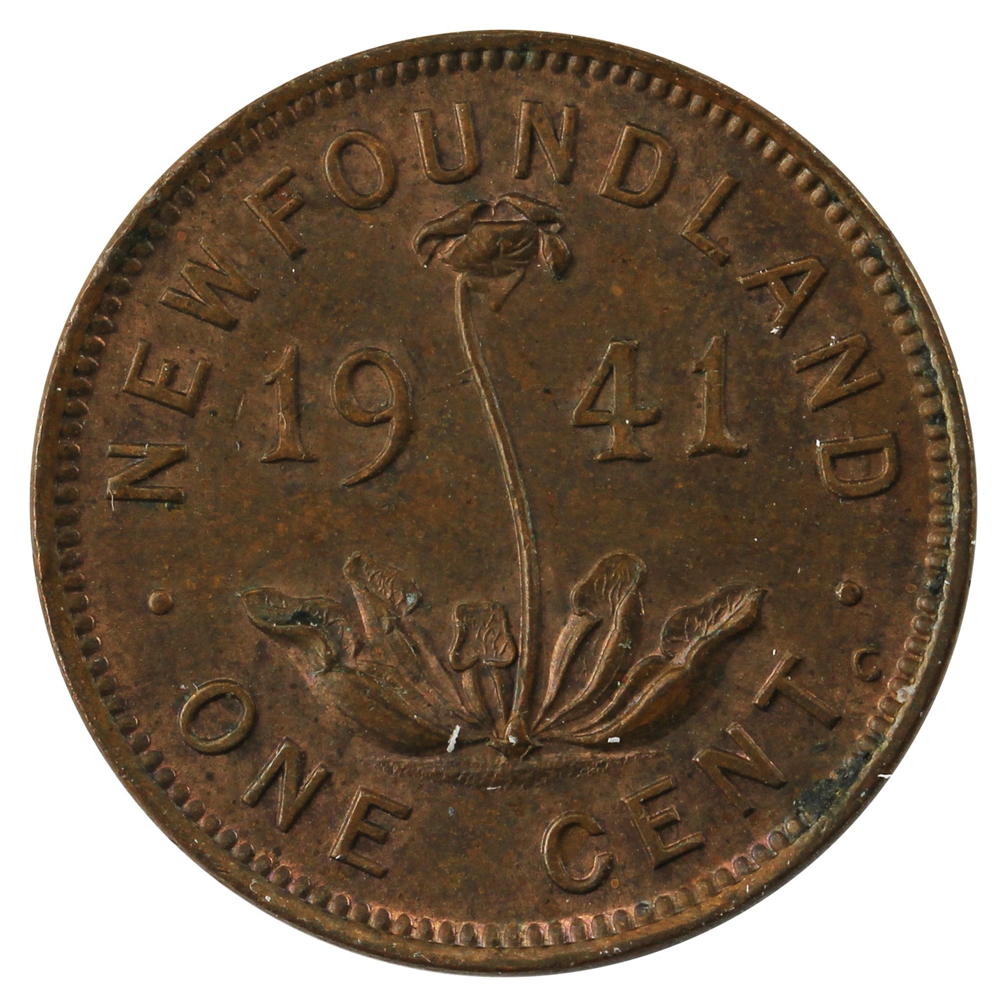 1941C Newfoundland 1-cent Uncirculated (MS60)
