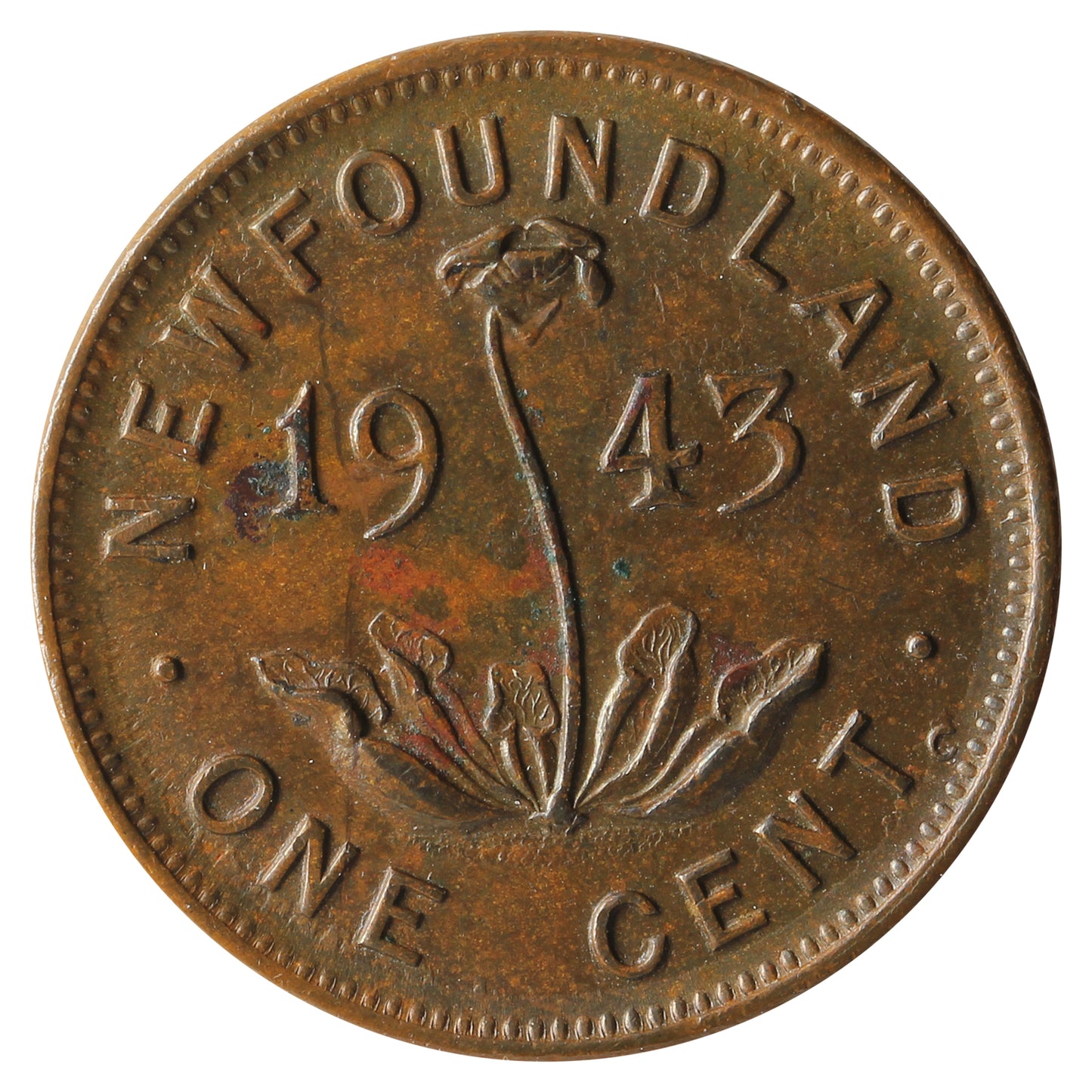 1943C Newfoundland 1-cent AU-UNC (AU55)
