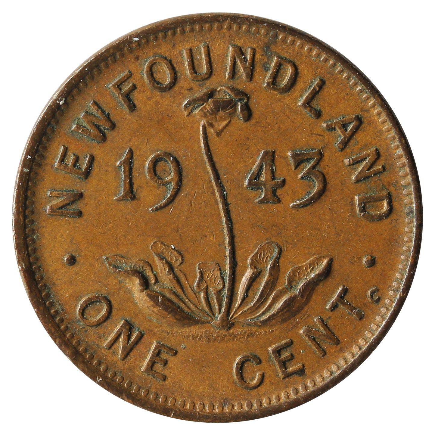1943C Newfoundland 1-cent EF-AU (EF45)