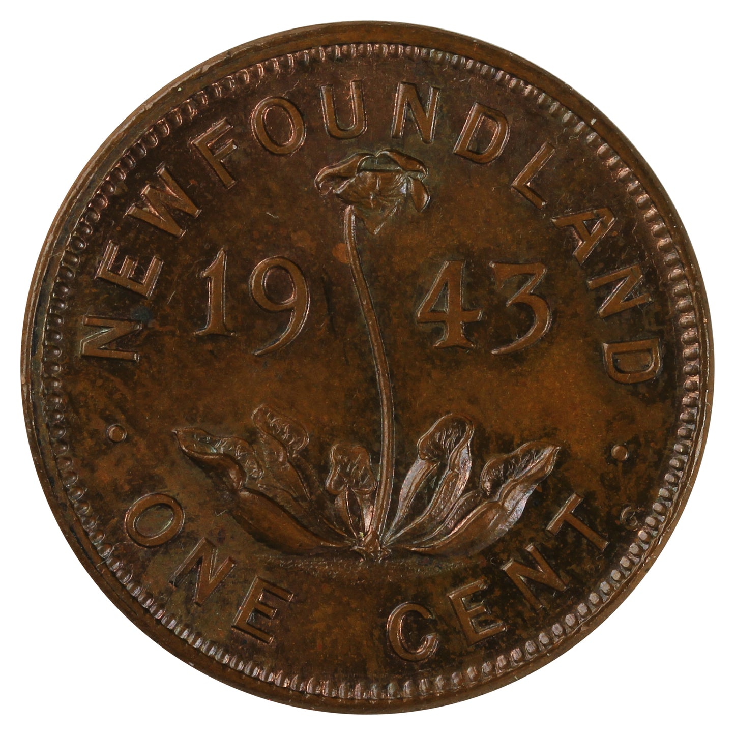 1943C Newfoundland 1-cent UNC+ (MS-62)
