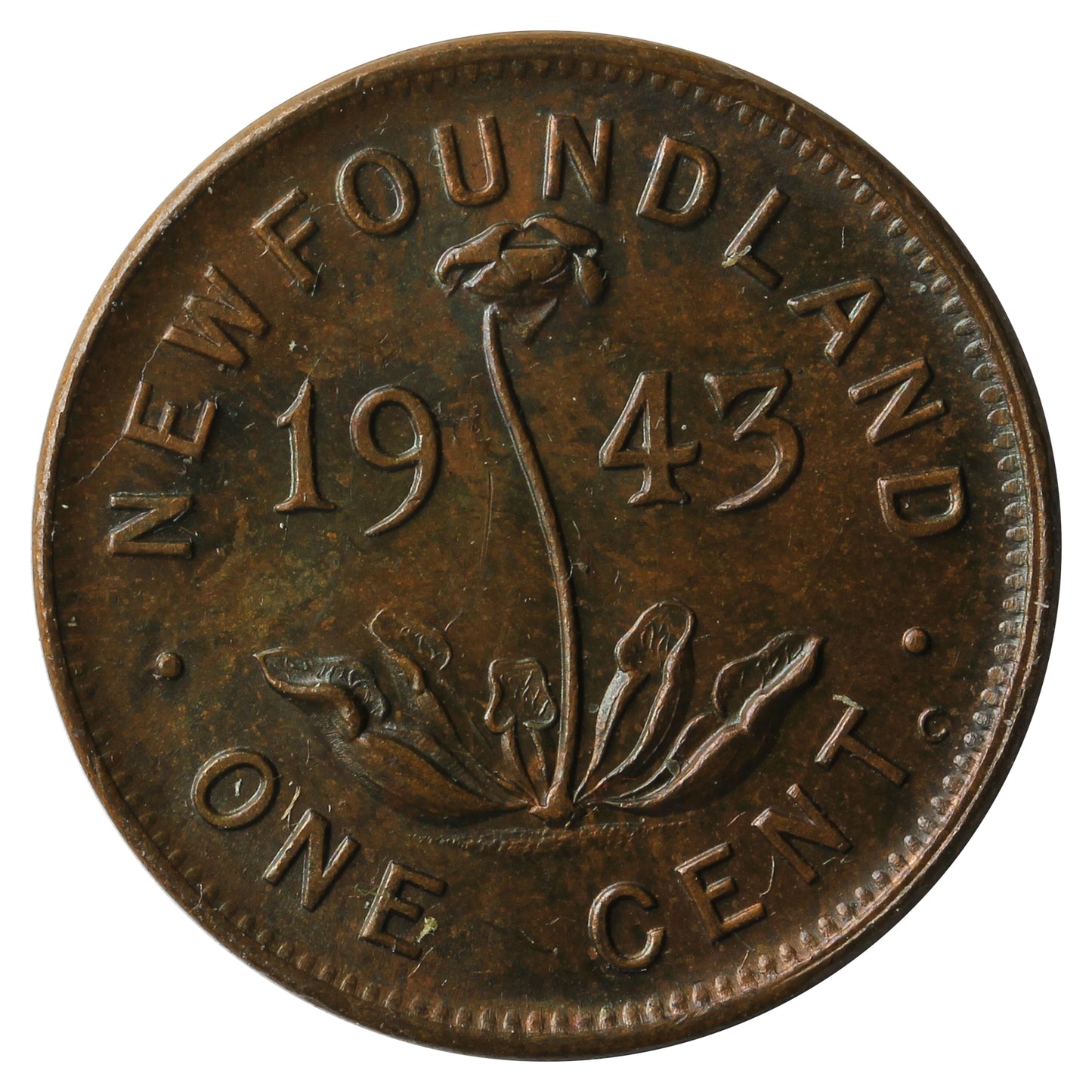 1943C Newfoundland 1-cent Uncirculated (MS-60)