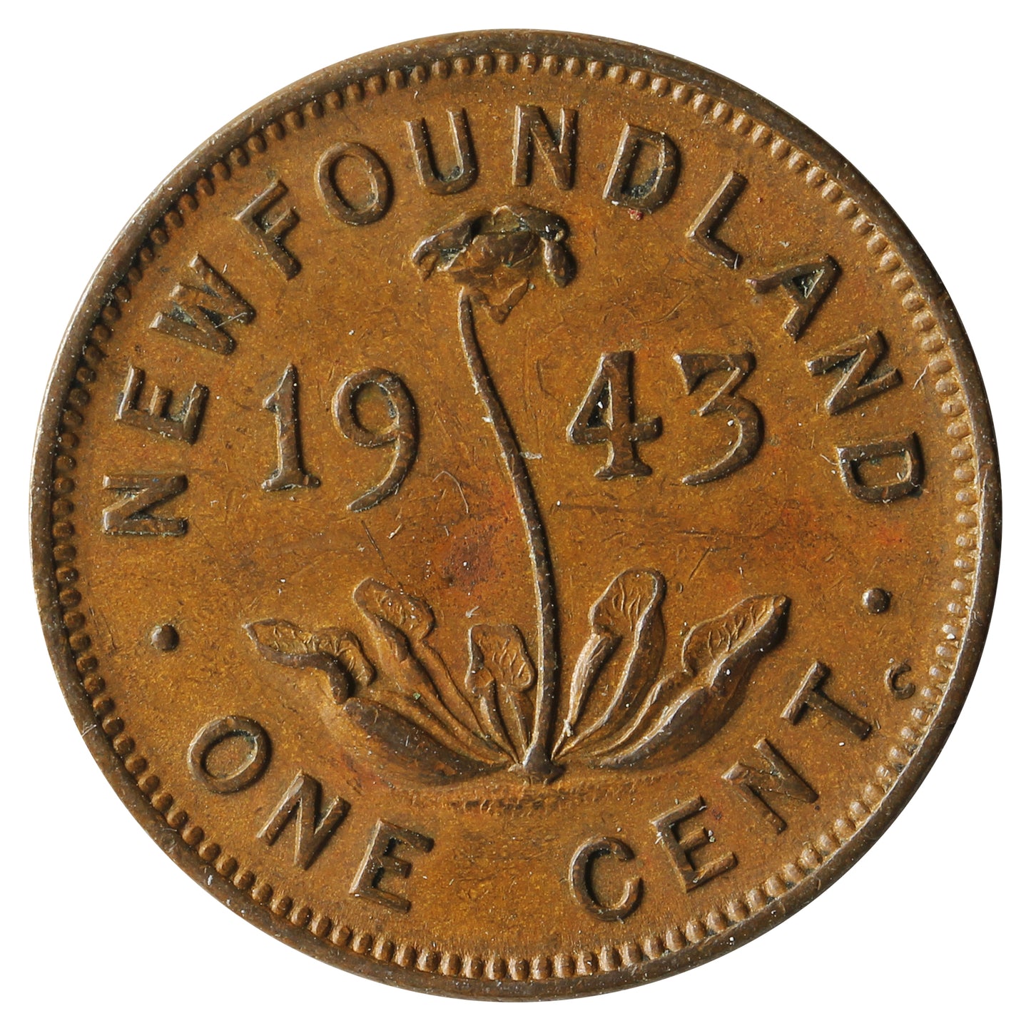 1943C Newfoundland 1-cent VF-EF (VF30)