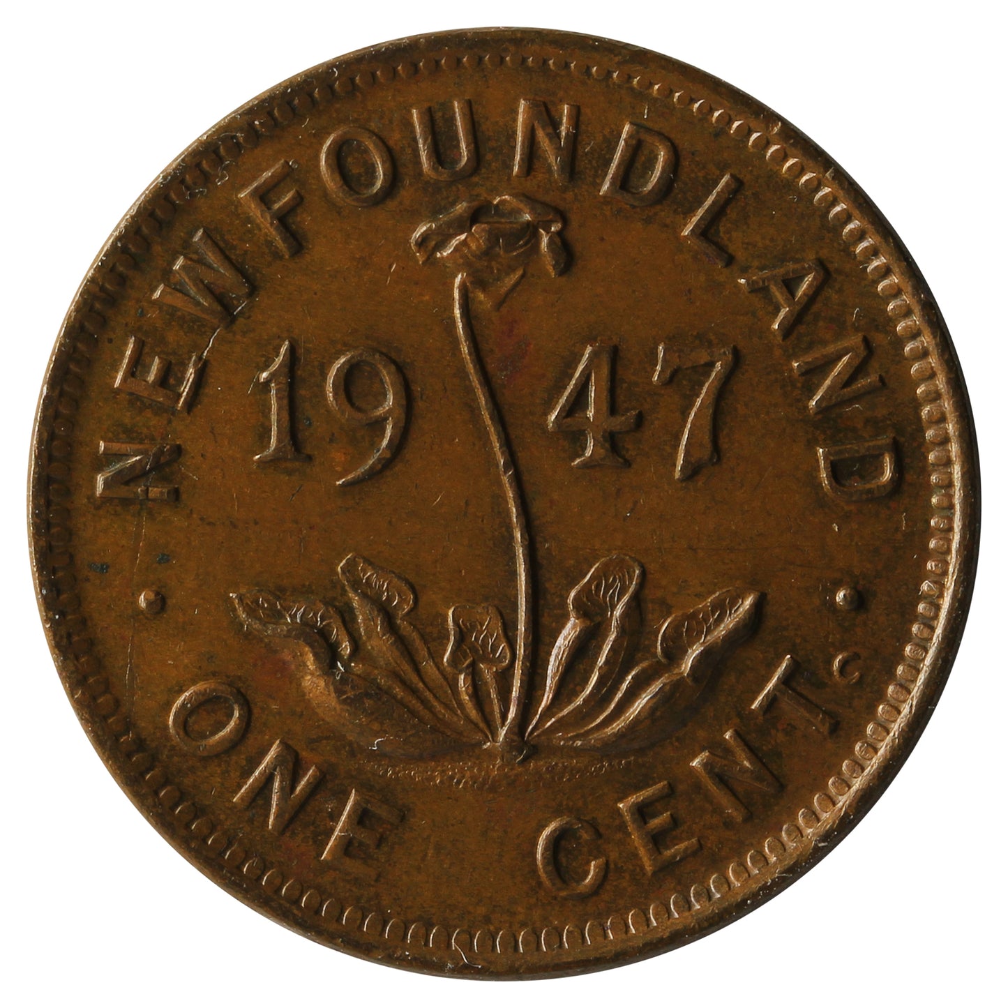 1947C Newfoundland 1-cent AU-UNC (AU-55) $