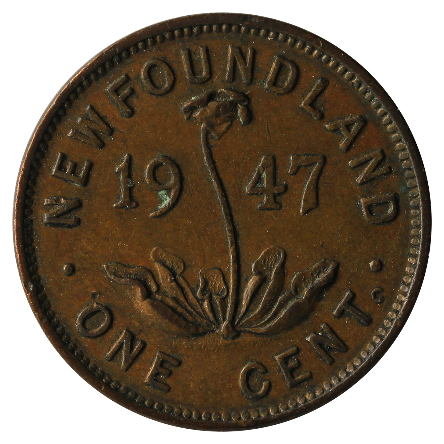 1947C Newfoundland 1-cent Extra Fine (EF-40)
