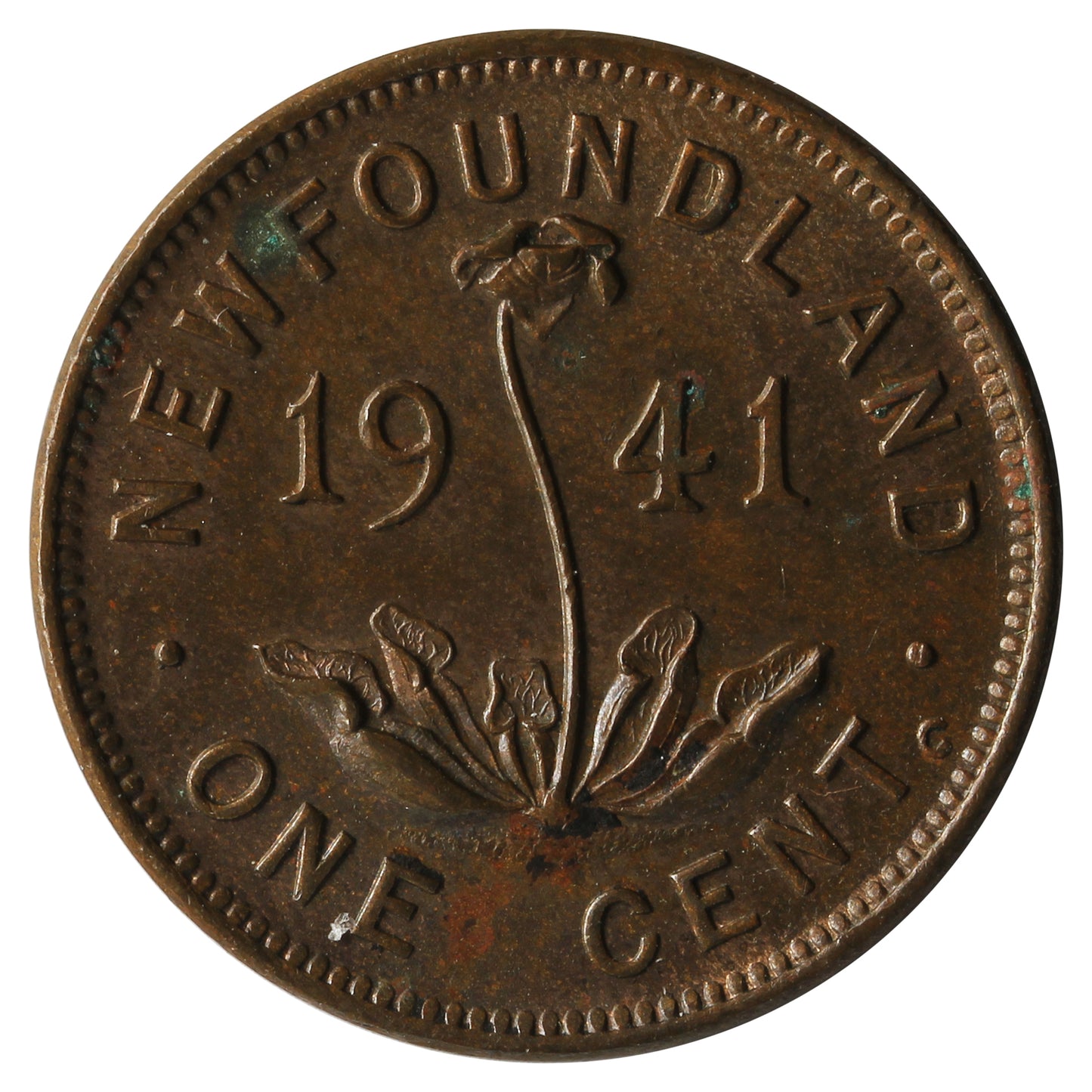 1941C Newfoundland 1-cent UNC+ (MS62) $