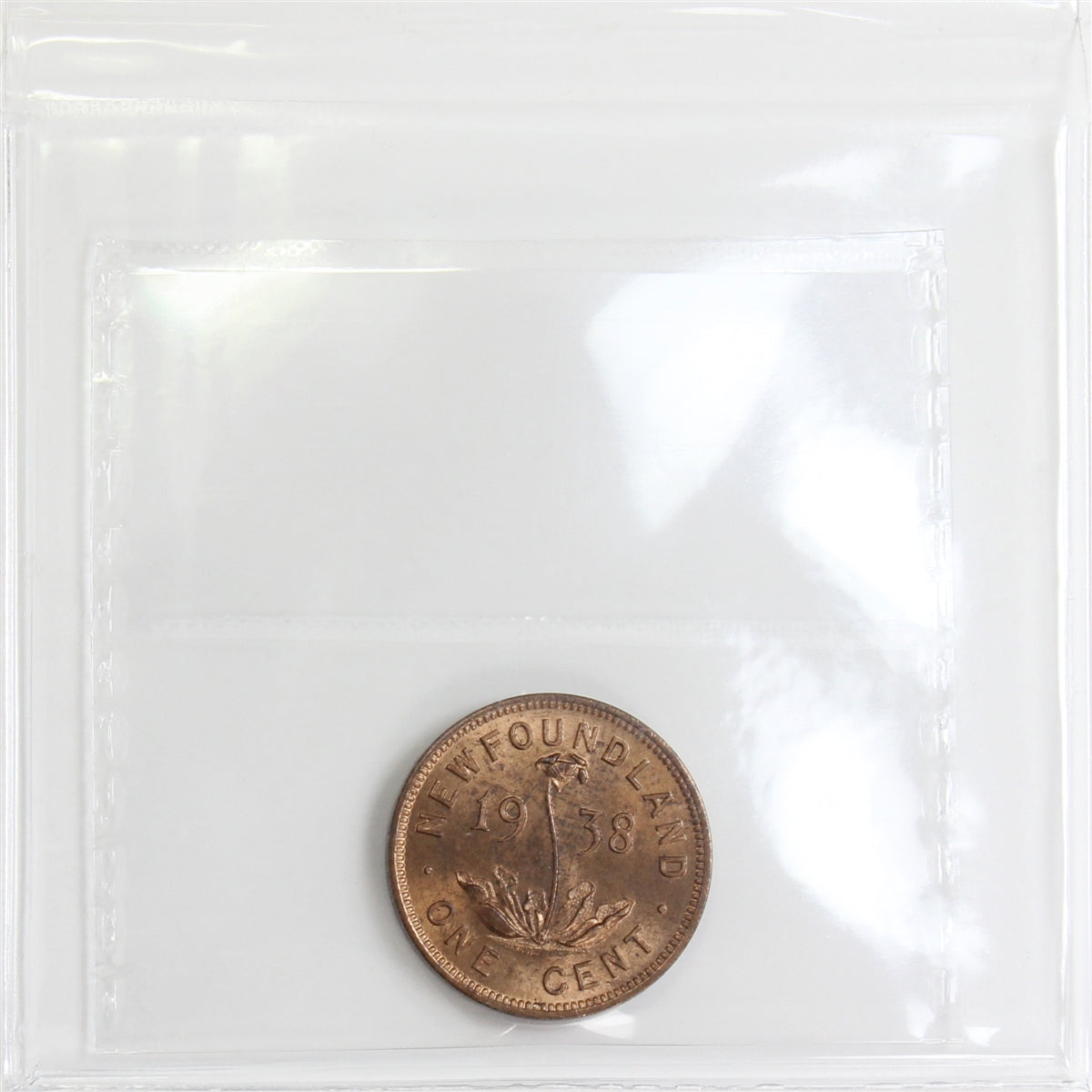 1938 Newfoundland 1-cent ICCS Certified MS-64 Red (XCM 410)