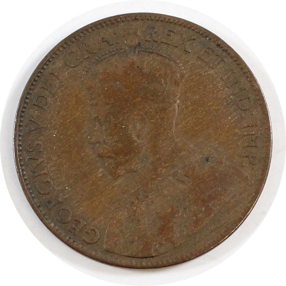 1920C Newfoundland 1-cent VG-F (VG10)