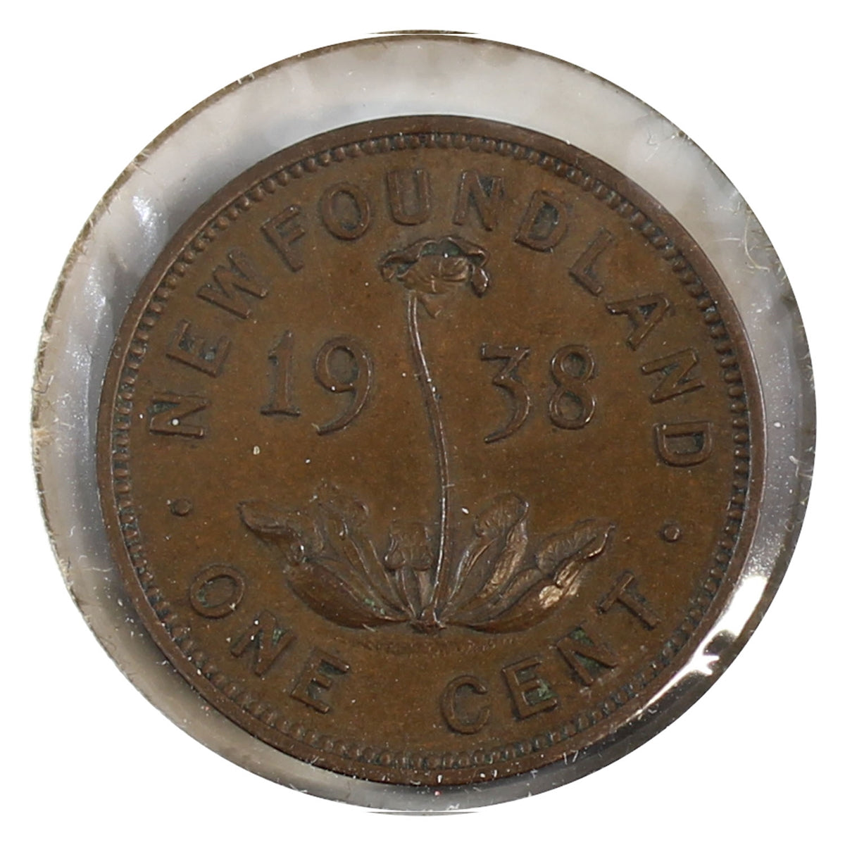 1938 Newfoundland 1-cent AU-UNC (AU55)